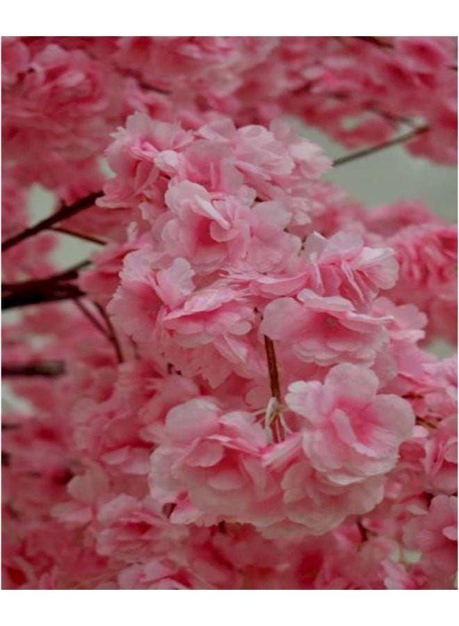 gallery_2