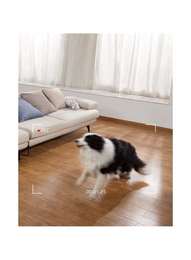 gallery_5