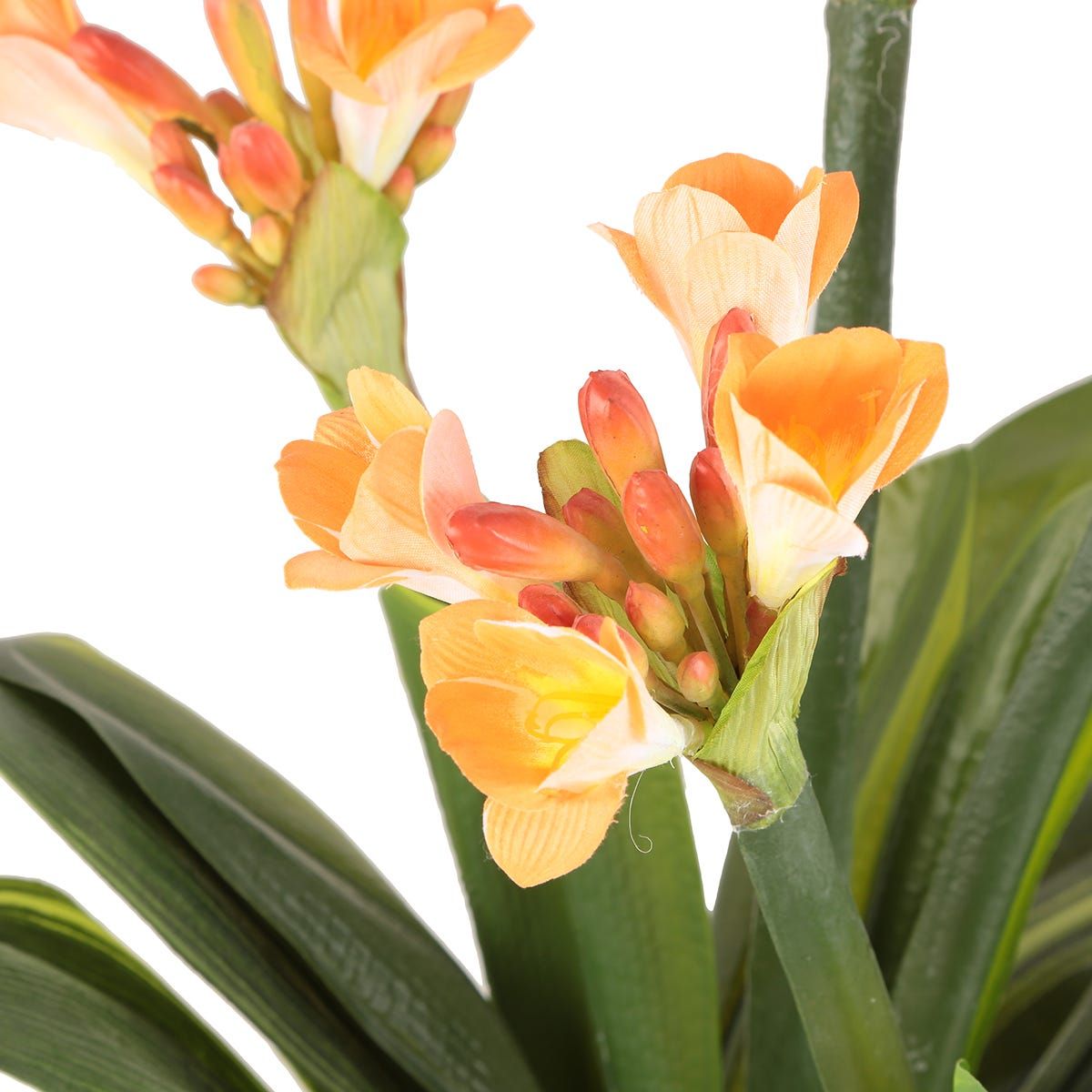 gallery_2