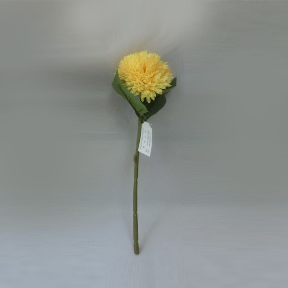 gallery_0