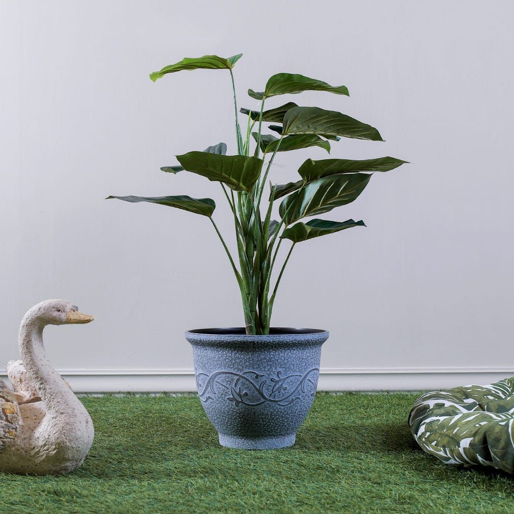 gallery_0
