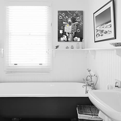 gallery_2