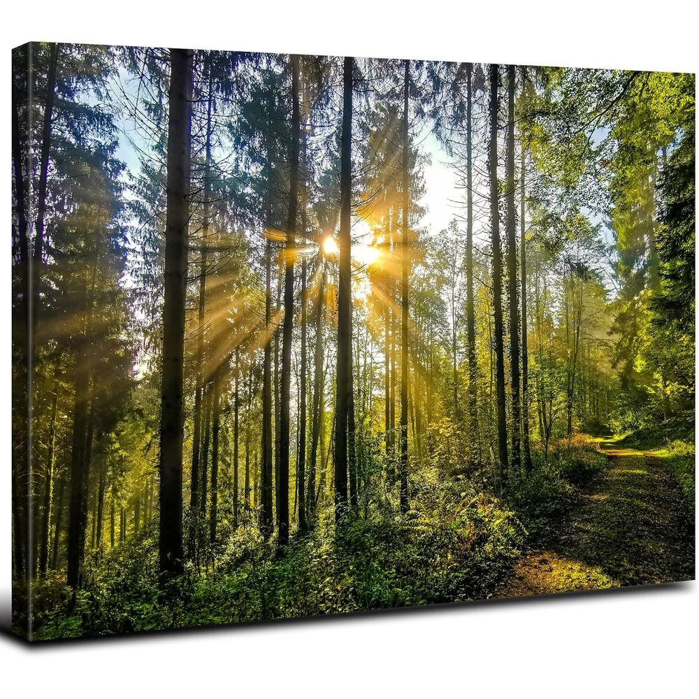 gallery_0