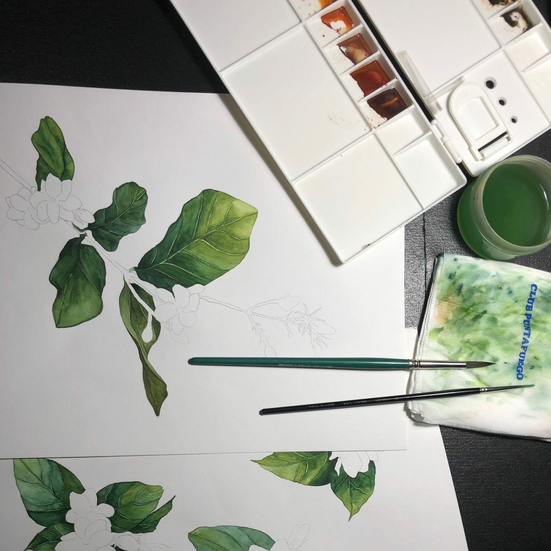 gallery_2