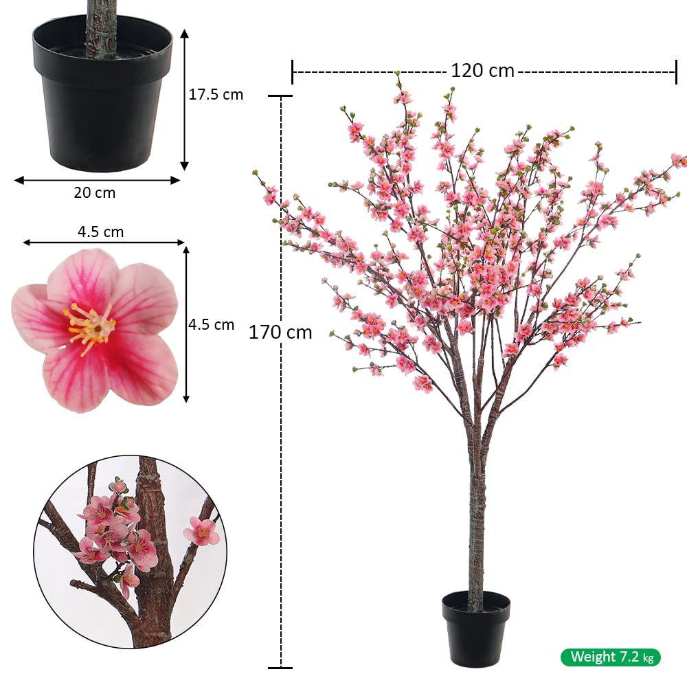 gallery_2