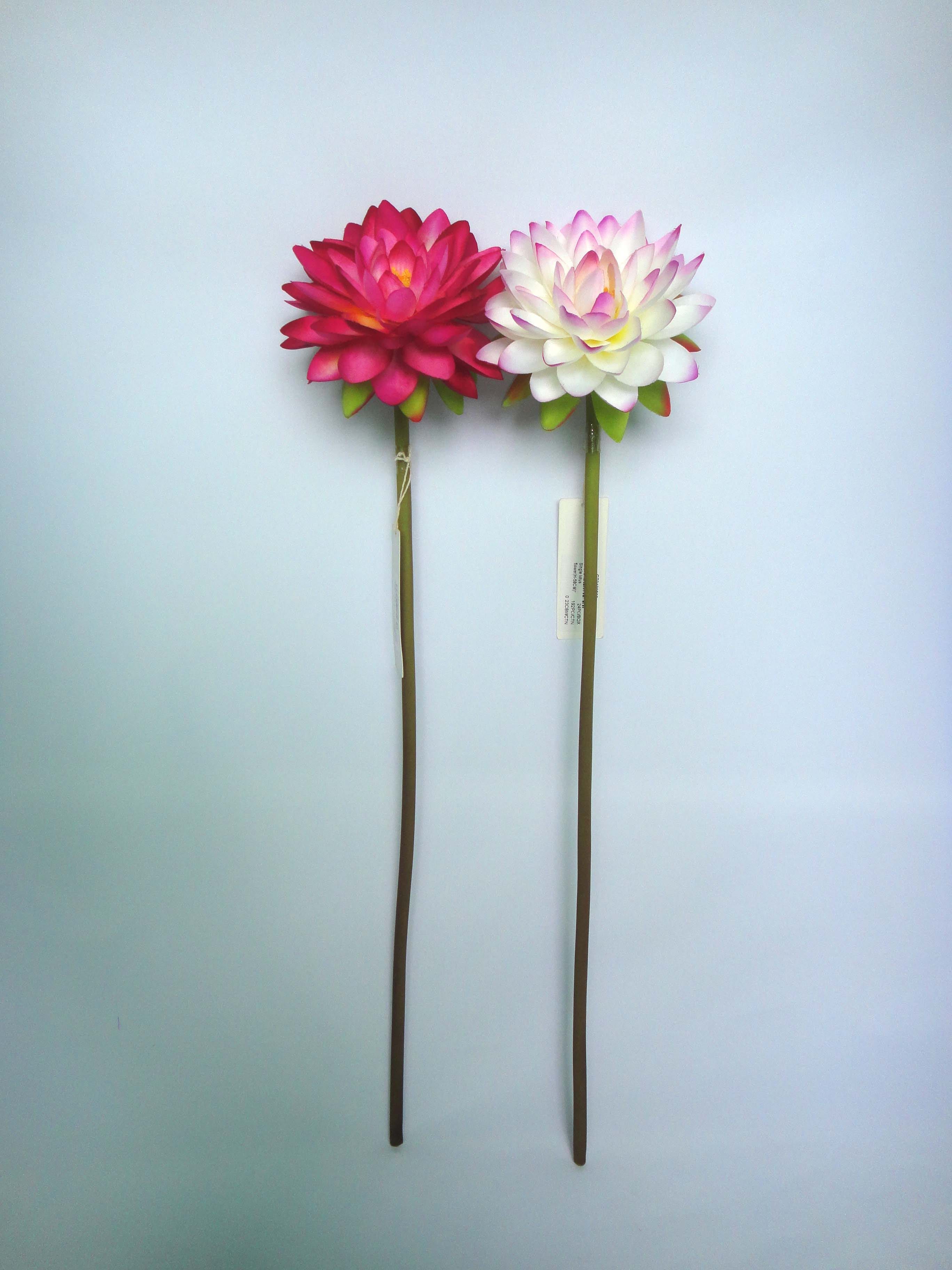 gallery_1