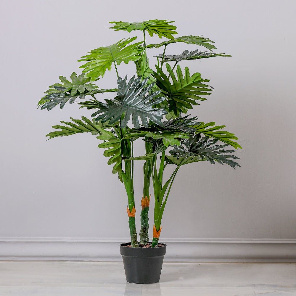 gallery_1