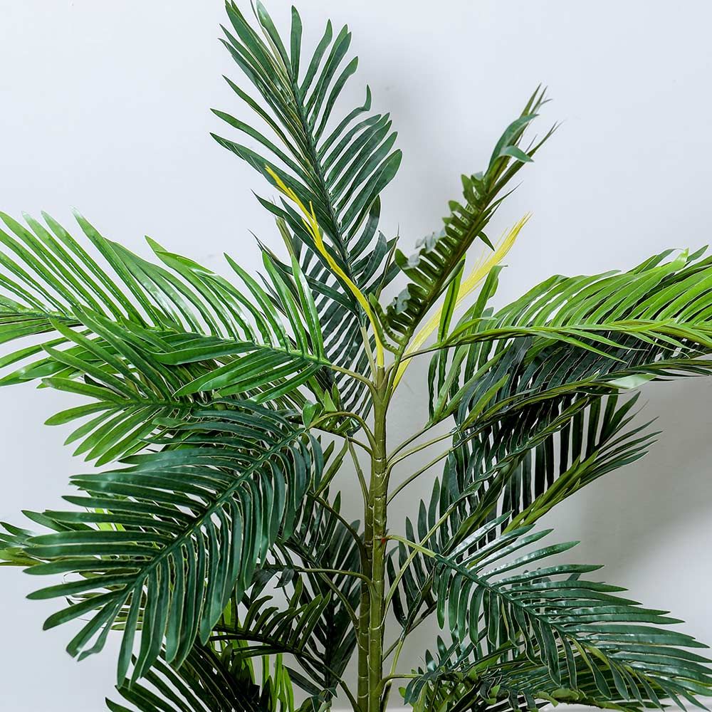 gallery_2