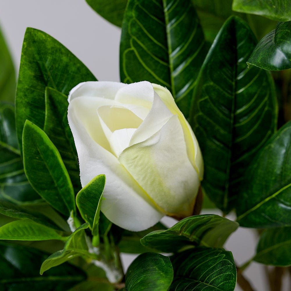gallery_4