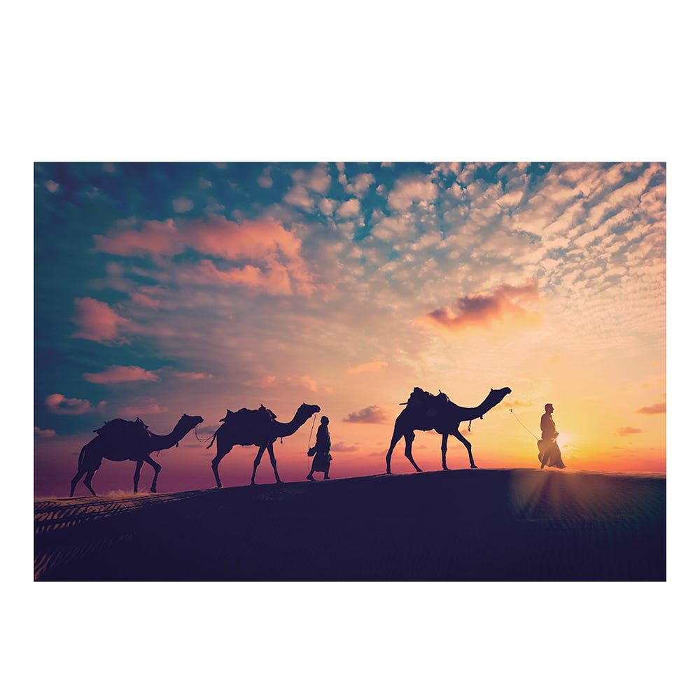 gallery_0