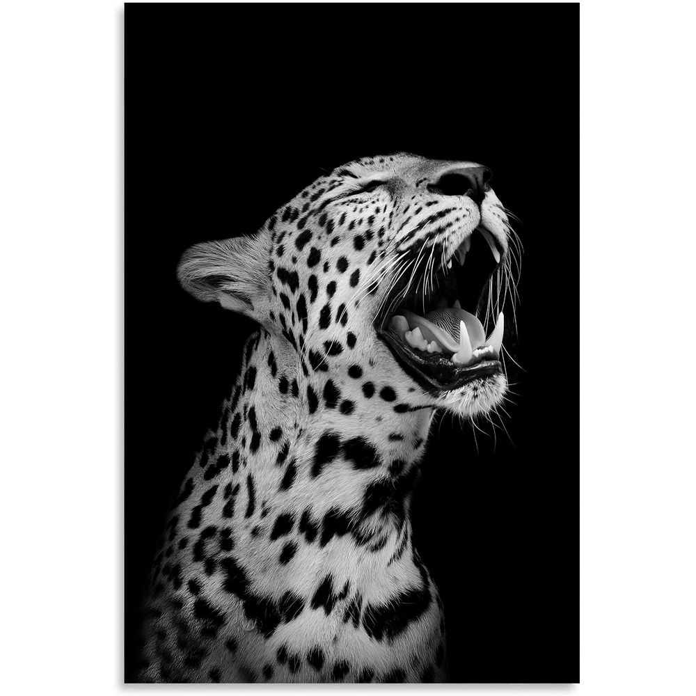 gallery_0