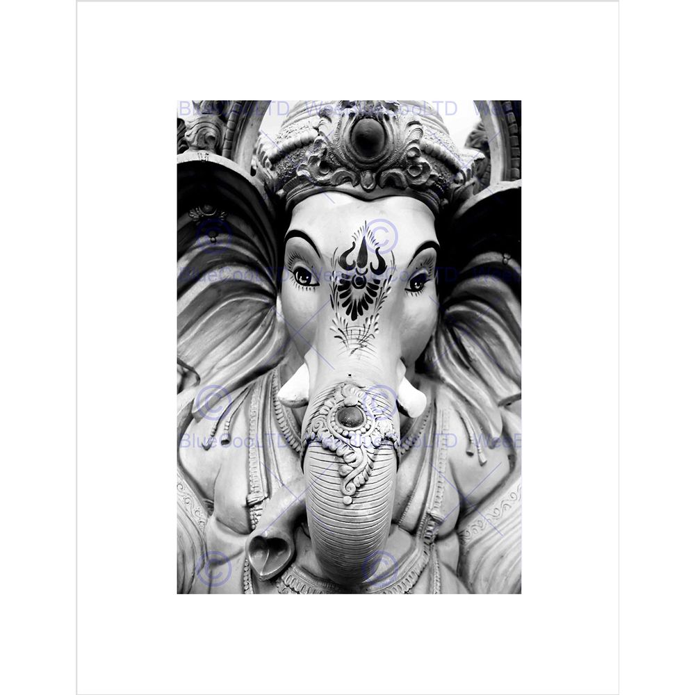 gallery_0