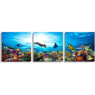 gallery_0