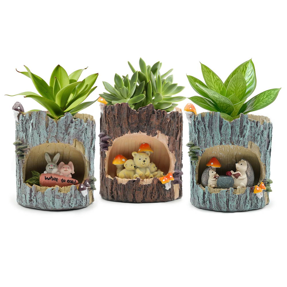 Vases