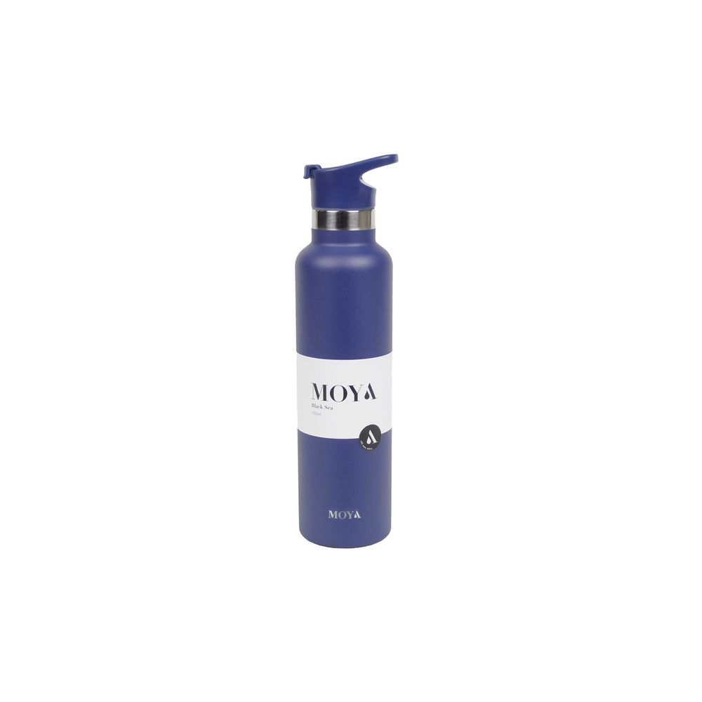 Stainless Steel Bottle
