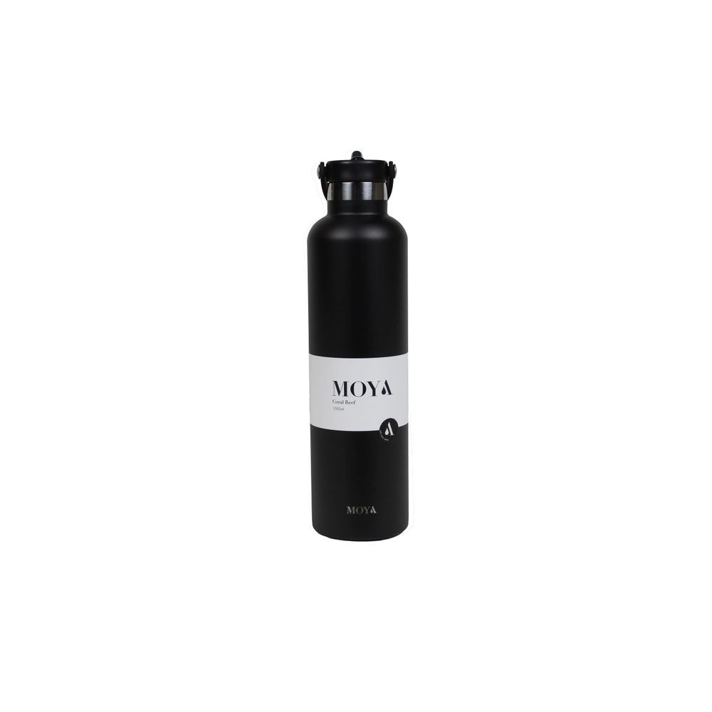 Stainless Steel Bottle