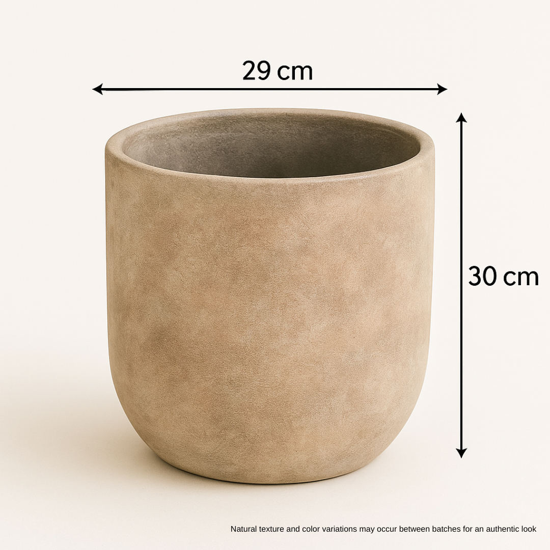 gallery_1